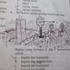 44566 - Unmoderated Student's Funny Test and Exam Answers - 1