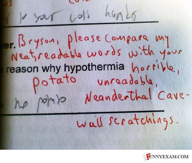 Funny Essay Answers