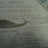 72045 - Unmoderated Student's Funny Test and Exam Answers - 63