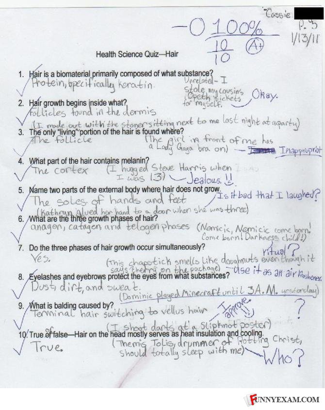Funny essay answers