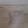5085 - Funny Exams