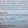 55633 - Unmoderated Student's Funny Test and Exam Answers - 30