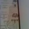 71359 - Unmoderated Student's Funny Test and Exam Answers - 50