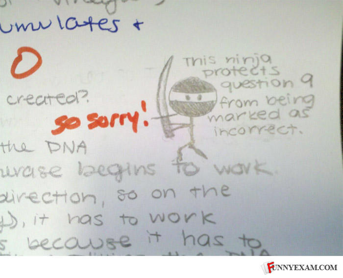 Funnyexam-com-c7a12e