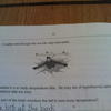 Funnyexam-com-d3d6a2