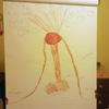 Funnyexam-com-bfe02e