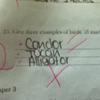 46147 - Unmoderated Student's Funny Test and Exam Answers - 30