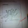 50942 - Unmoderated Student's Funny Test and Exam Answers - 62
