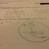 Testpic1