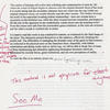 2girls1essay2