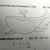 Whale