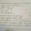 17069 - Unmoderated Student's Funny Test and Exam Answers - 17
