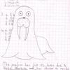 Walrus