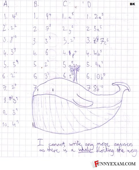  - Those whales always turn up where they're not want