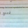 2024 - Funny Exams