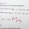 Normal_test