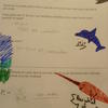 Random_863